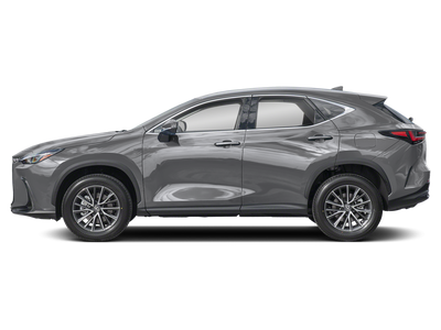 2024 Lexus NX 250 Premium